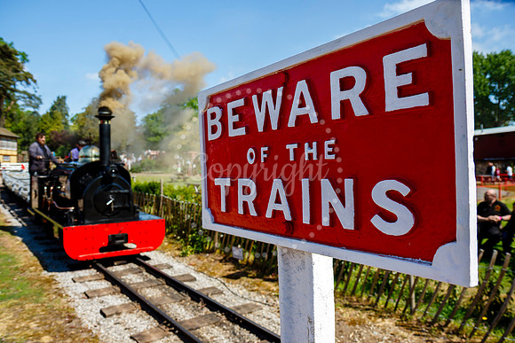 Bressingham Steam Museum annual steam gala