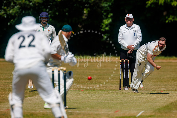 Diss v Horsford II