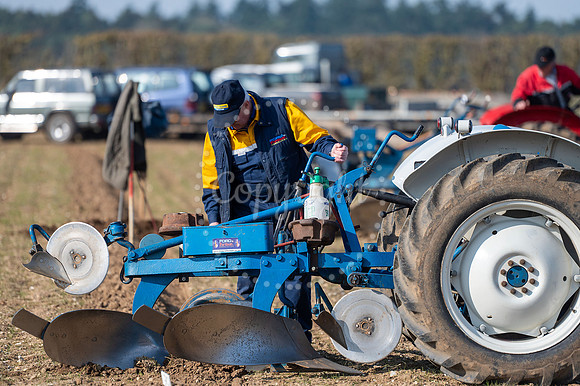 BFP Ampton Hall Estates, Ampton, Suffolk Vintage Ploughing Socie