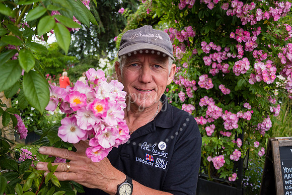 Peter Beales Rose Festival