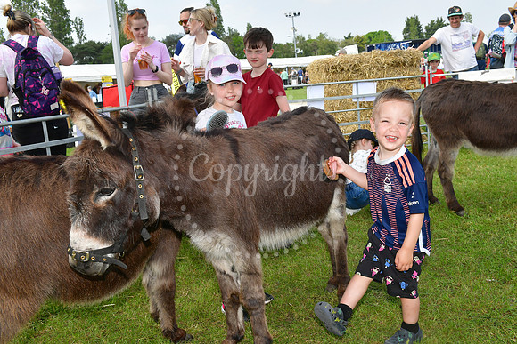 Nottingham County Show