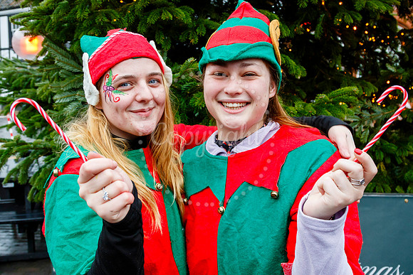 Visit Harleston’s festive day held on the Market Place in the