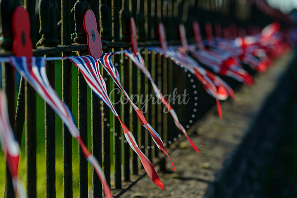 Roydon Village church which has been decorated with poppies to mark the end of the First World War.