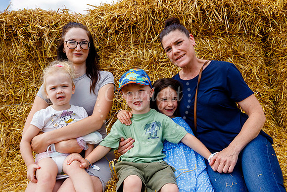 Pulham Market Maize Maze and PYO Wildflowers held at Pulham Patc