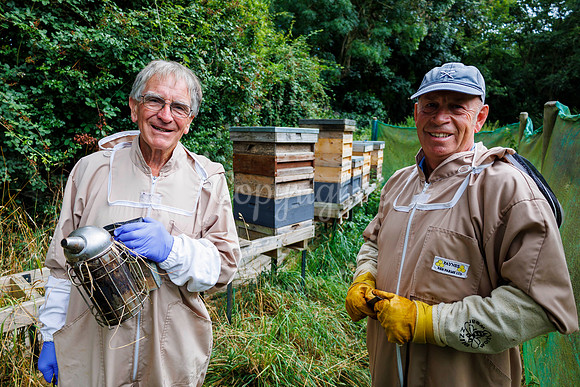 Starston Community Bee Group is celebrating 10 years