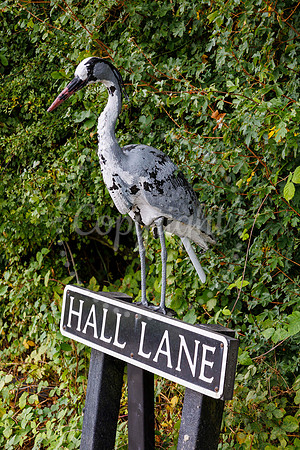 Bird Banksy