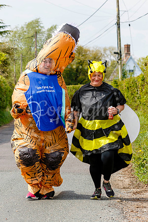 Dinosaur and Bumblebee Half Marathon Run