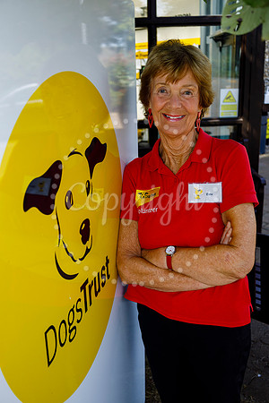 Dogs Trust Snetterton Rehoming Centre