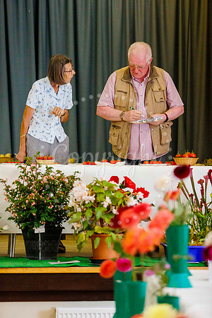 Diss Horticultural Society Annual flower show at Roydon Village