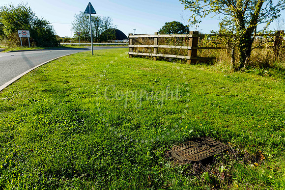 Houses on Eye Road, Brome are continuously being flooded after a