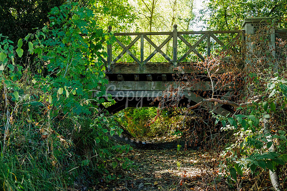 One of the streams which feeds the River Dove in Hoxne under Gol