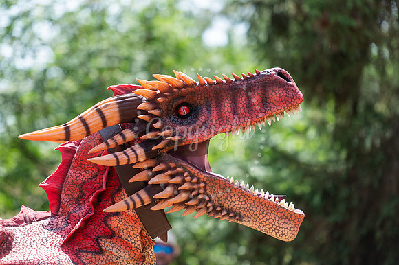 BFP West Stow Anglo Saxon VillageDragon Fest. Picture by Mark W