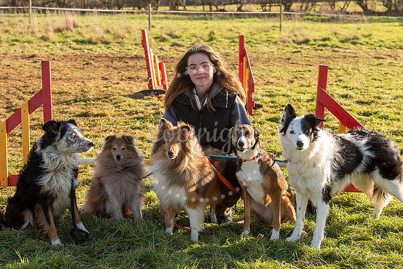 Ace Agility, 30 Angel Lane, Glemsford, Suffolk. A record five ju