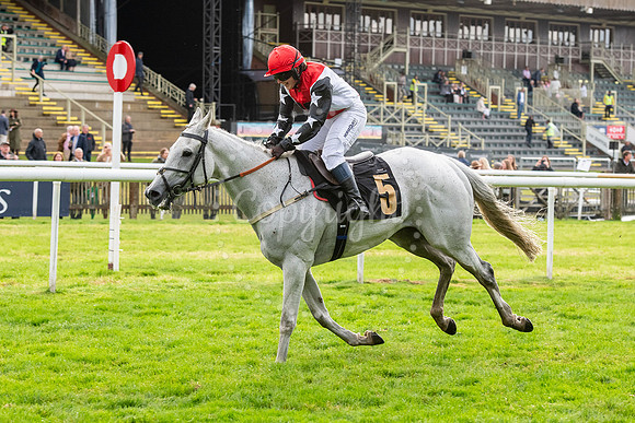 Newmarket July CourseNewmarket Town Plate. Picture by Mark West