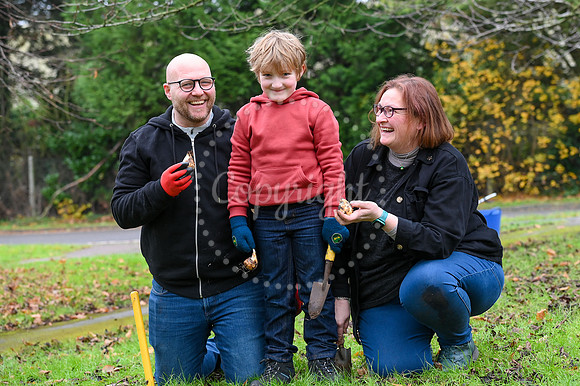 Petingo Close, Studlands Park, Newmarket Community planting even