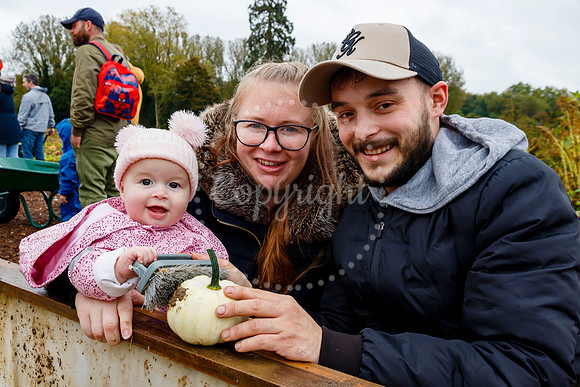 Mrs G’s Pumpkin Patch in Garboldisham opening day