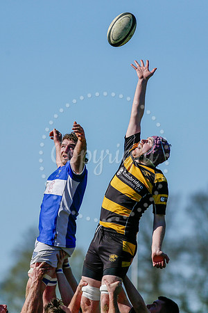Rugby action from Diss vs Ely