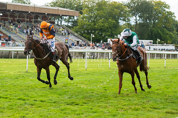 Newmarket July CourseNewmarket Town Plate. Picture by Mark West