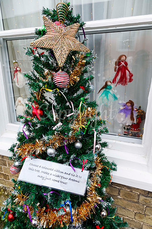 Double Street Advent Windows