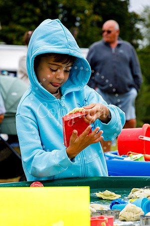 Life Fest 2024 at Diss Park organised by Diss Baptist Church.