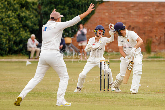 Cricket action from Diss vs Great Melton