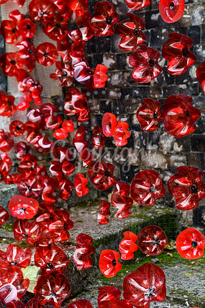 World War One display in the church at Harleston to mark the Armistice.