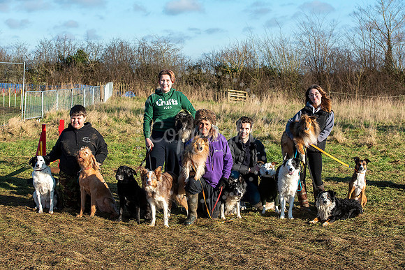 Ace Agility, 30 Angel Lane, Glemsford, Suffolk. A record five ju