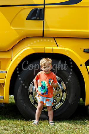 Roydon Summer Fair