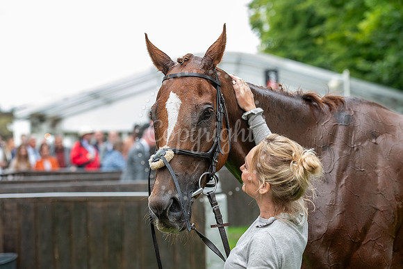 Newmarket July CourseNewmarket Town Plate. Picture by Mark West