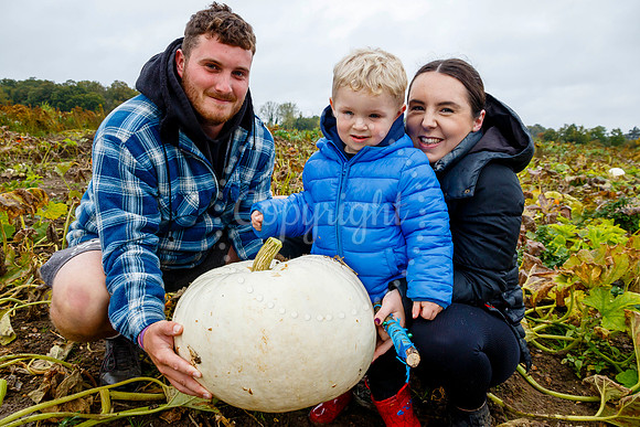 Mrs G’s Pumpkin Patch in Garboldisham opening day