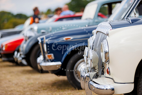 Car show at Old Buckenham Country Park