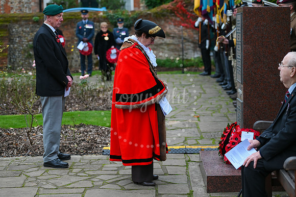 Rose Garden, Abbey Gardens Remembrance service. Picture by Mark