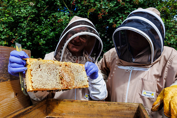 Starston Community Bee Group is celebrating 10 years