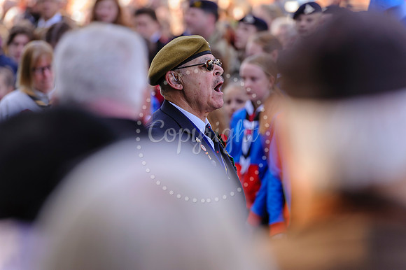 Harleston Annual Remembrance Parade and The Royal British Legion Poppy Appeal