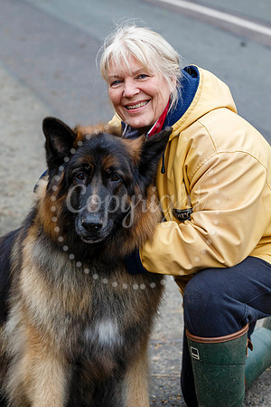 Fressingfield New Year’s Day Dog Walk