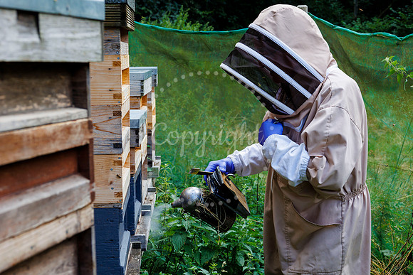 Starston Community Bee Group is celebrating 10 years