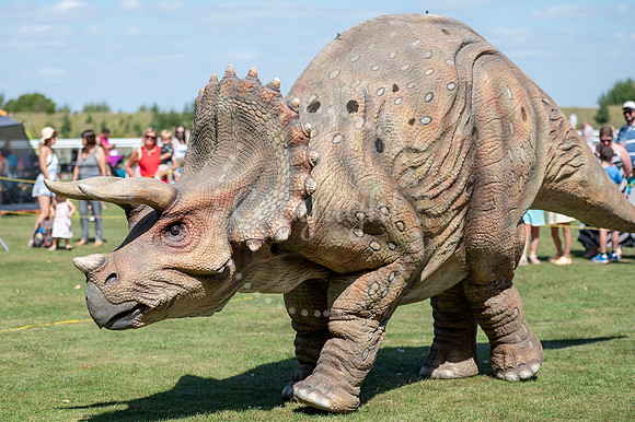 NJ July Racecourse, NewmarketDinosaur day.  Picture by Mark Wes