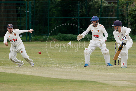 Cricket action from Diss vs Thetford Town