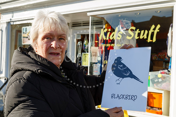 Visit Harleston has organised a Bird Trail around the town