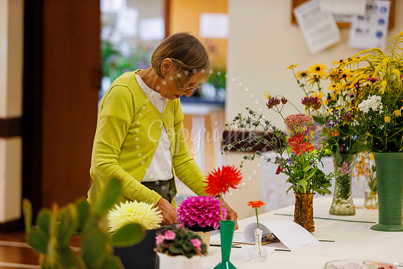 Diss Horticultural Society Annual flower show at Roydon Village