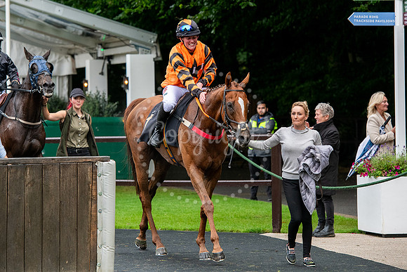Newmarket July CourseNewmarket Town Plate. Picture by Mark West