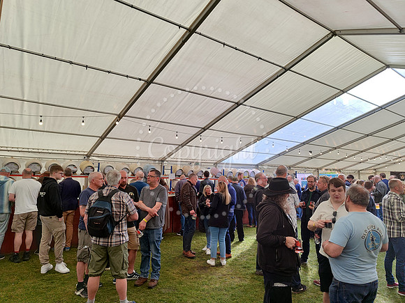 Beer Festival