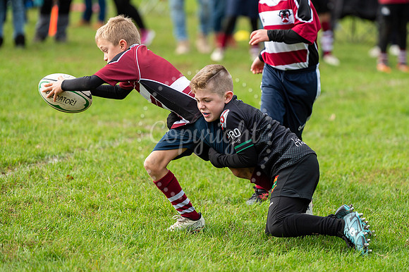 Bury St Edmunds Rugby Club, Southgate Green, Bury St Edmunds Bu