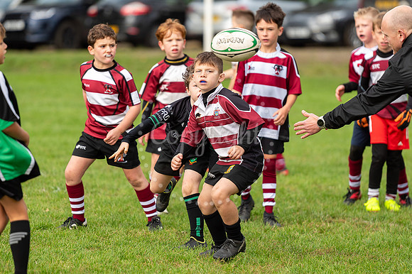 Bury St Edmunds Rugby Club, Southgate Green, Bury St Edmunds Bu