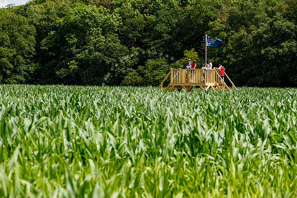 Pulham Market Maize Maze and PYO Wildflowers held at Pulham Patc