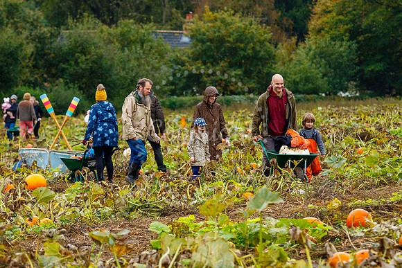 Mrs G’s Pumpkin Patch in Garboldisham opening day