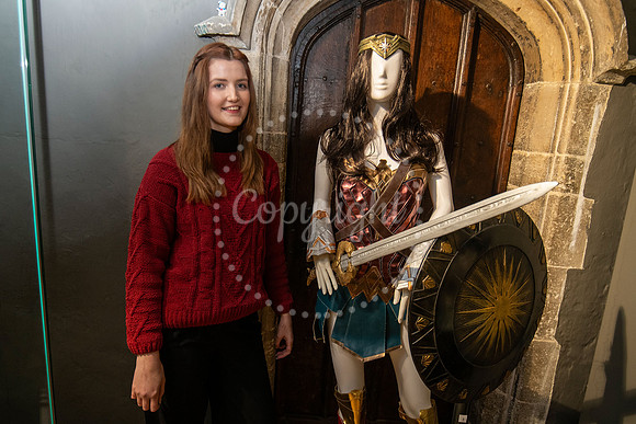 Moyse’s Hall, Cornhill, Bury.It’s the museum’s sci-fi and
