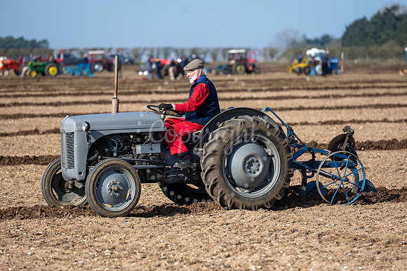 BFP Ampton Hall Estates, Ampton, Suffolk Vintage Ploughing Socie