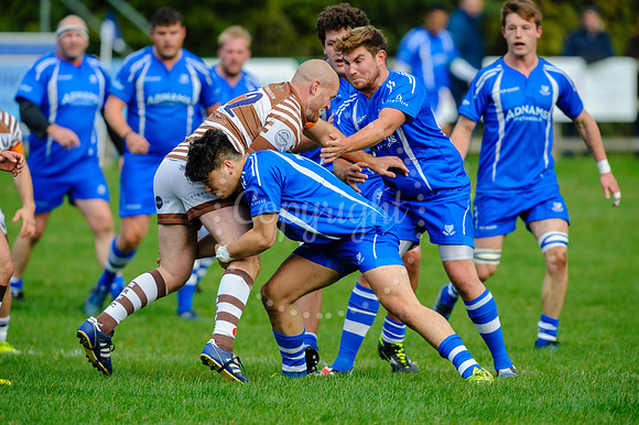 Rugby action from Diss v Southend Saxons in London 1 North.