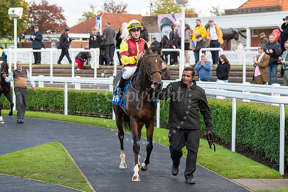 Newmarket Rowley Mile racecourseDubai Future Champions’ weeke